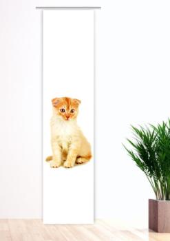 Tiger Katzenbaby, Flächenvorhang Einzel